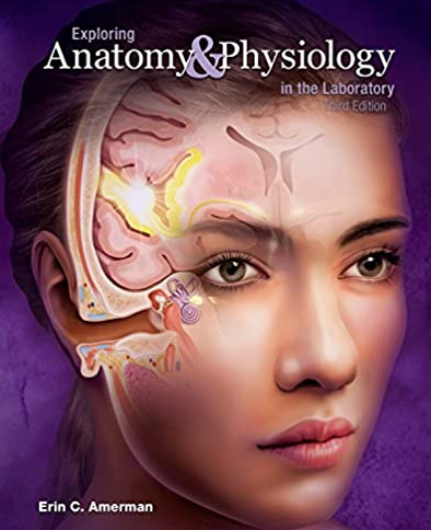 Exploring Anatomy and Physiology in the Laboratory 3rd Edition by Erin Amerman, ISBN-13: 978-1617316203