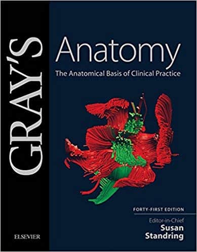 Gray’s Anatomy: The Anatomical Basis of Clinical Practice (41st Edition)