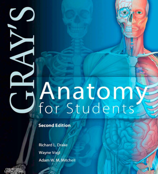 Gray’s Anatomy for Students 2nd Edition, ISBN-13: 978-0443069529