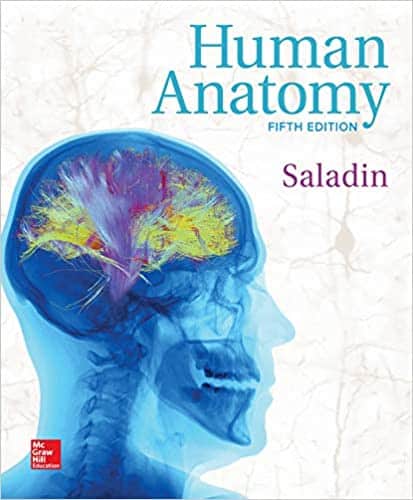 Human Anatomy (5th Edition) – Kenneth Saladin