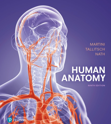 Human Anatomy 9th Edition Frederic Martini, ISBN-13: 978-0134320762