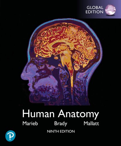 Human Anatomy (9th Global Edition) – Marieb/Mallatt/Brady