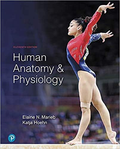 Human Anatomy & Physiology (11th Edition) – Marieb and Hoehn