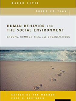 Human Behavior and the Social Environment, Macro Level (3rd Edition)