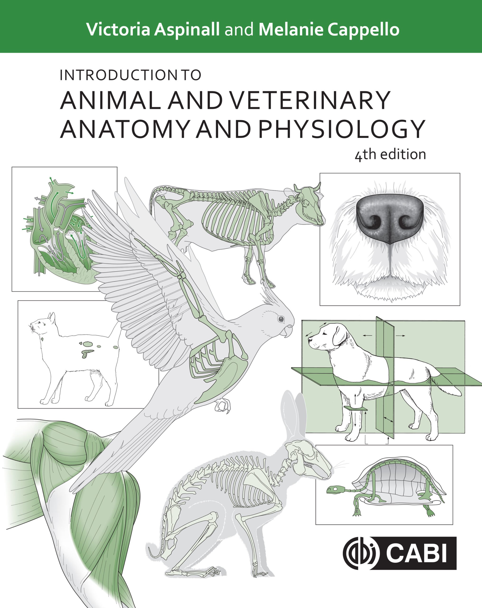 Introduction to Animal and Veterinary Anatomy and Physiology (4th Edition)