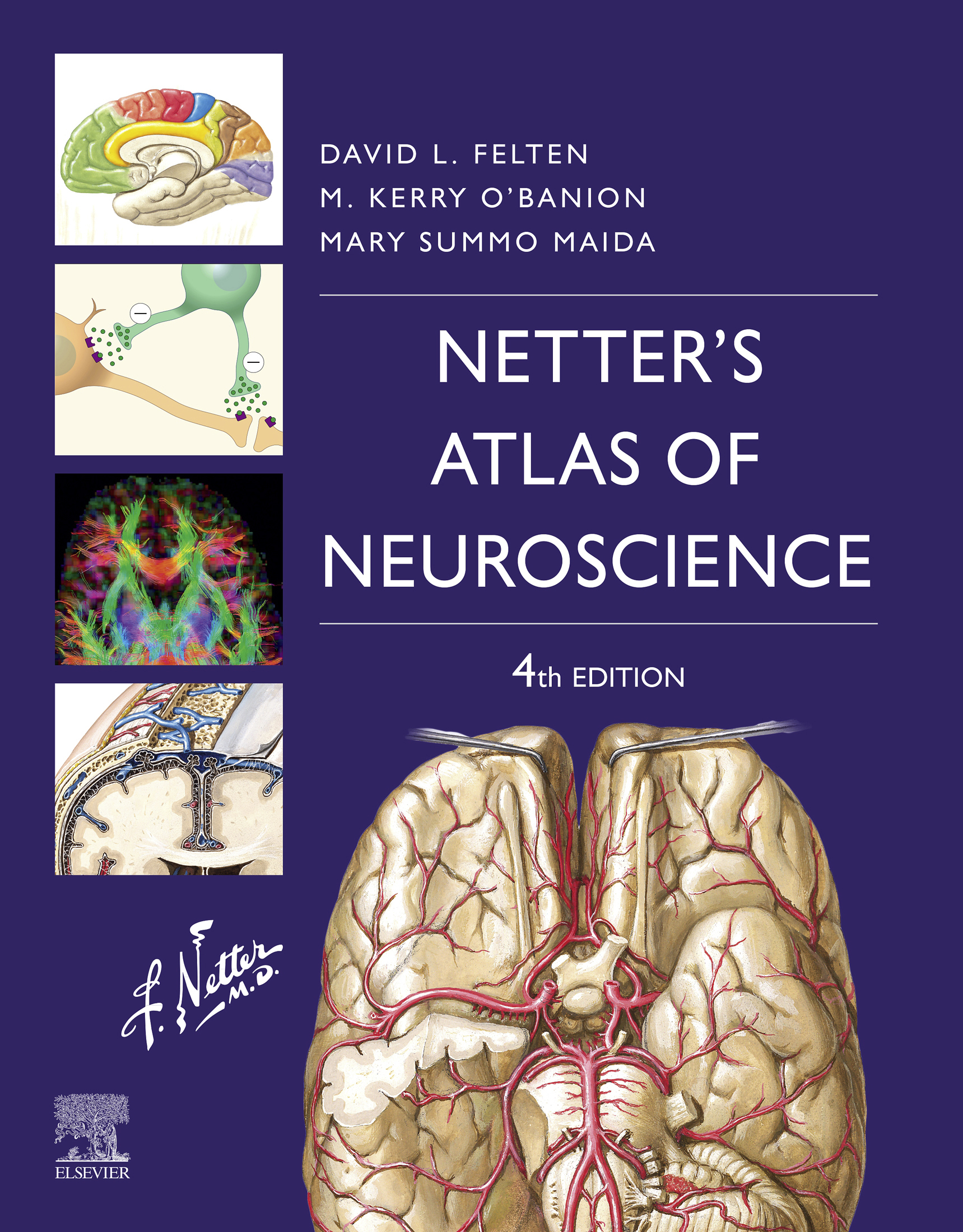 Netter’s Atlas of Neuroscience (4th Edition)