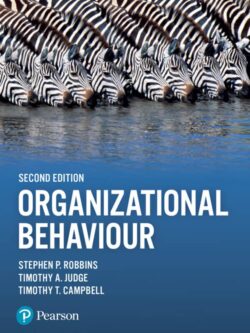 Organizational Behaviour (2nd Edition)