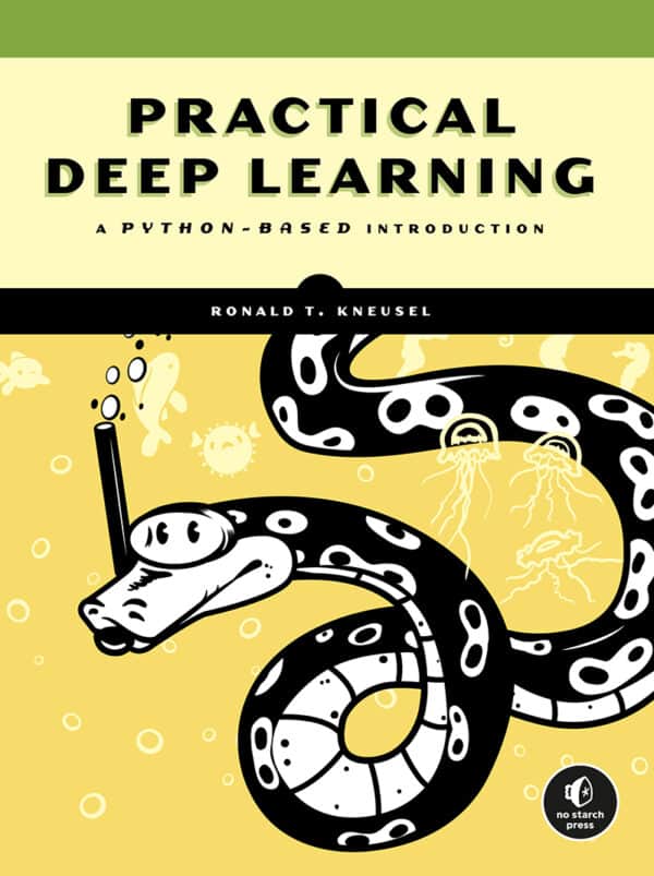 Practical Deep Learning: A Python-Based Introduction