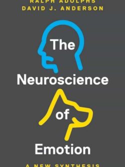 The Neuroscience of Emotion: A New Synthesis