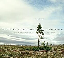 The Oldest Living Things in the World