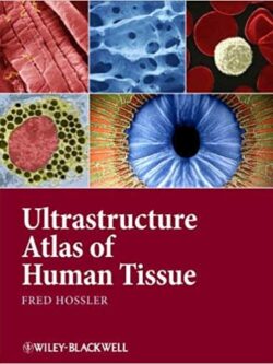 Ultrastructure Atlas of Human Tissues