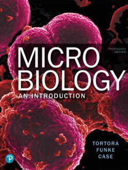 Microbiology: An Introduction (13th Edition)