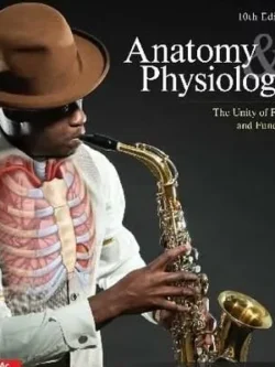Saladin Anatomy and Physiology (10th Edition) 