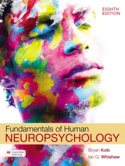 Fundamentals of Human Neuropsychology (8th Edition) 