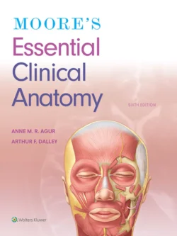 Moore’s Essential Clinical Anatomy (6th Edition) 